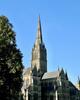 Salisbury Cathedral