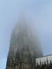 Kölner Dom early morning mist