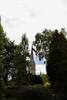 Salisbury Cathedral from the area of the River Nadder