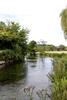 River Nadder, Salisbury