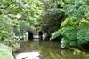 River Nadder, Salisbury