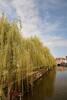 The stillness of Ghent (off the beaten track)