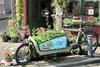 Florist in Ghent