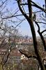 View of Prague from Petřín Hill