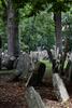 Old Jewish Cemetery