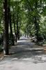 Ošalny Cemetery